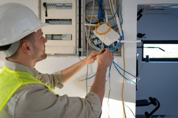 Best Local Electrician Companies  in Farmer City, IL